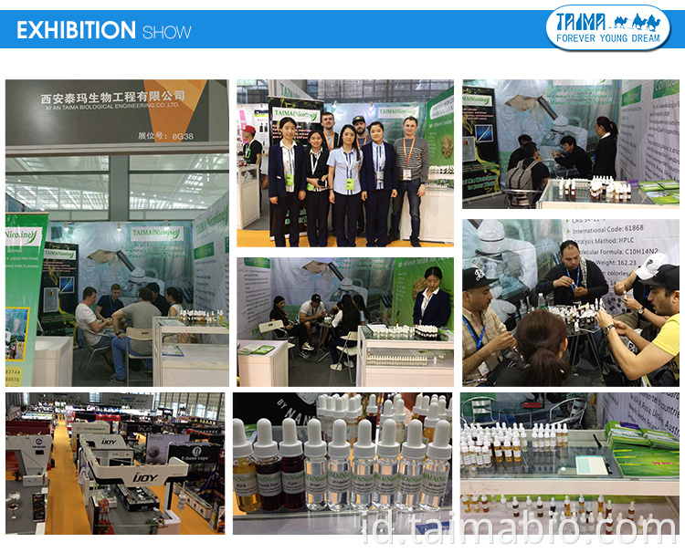 Agen pendingin Taima Mentol Ice 99,9%L harga mentol